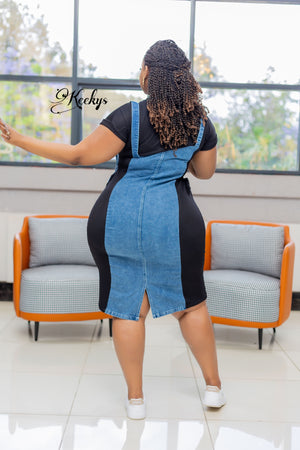 Another classic one denim dress